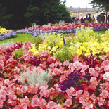 Royal Victoria Park
